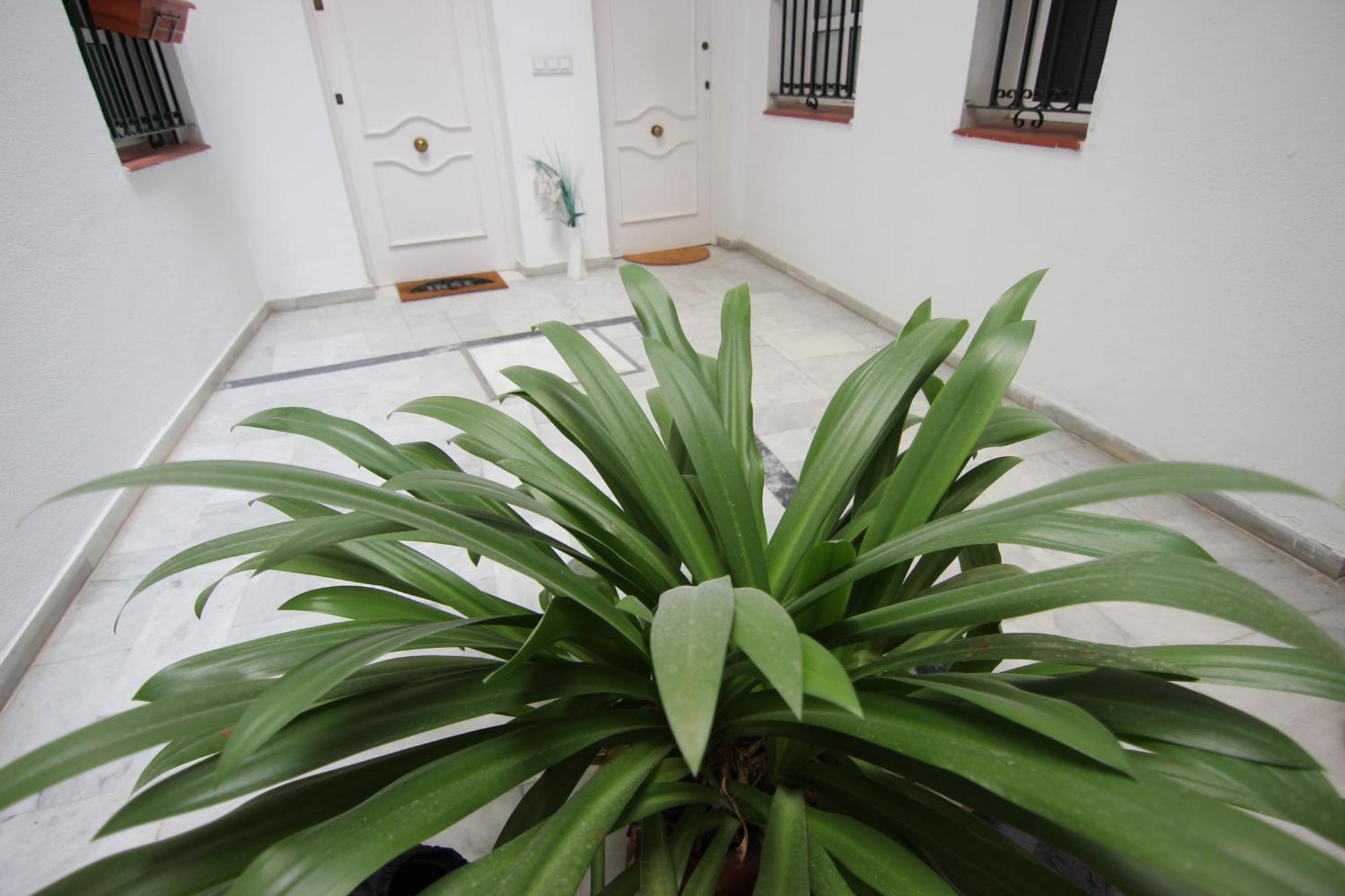 Apartamento Corazon De Triana Sevilla Exterior foto